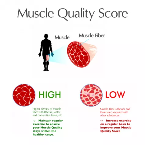 Muscle Quality Score